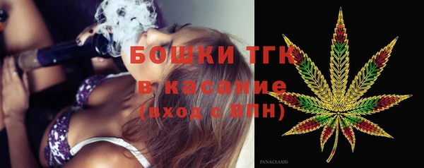 стаф Абинск