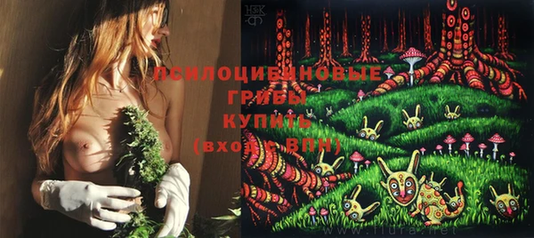 MDMA Елизово