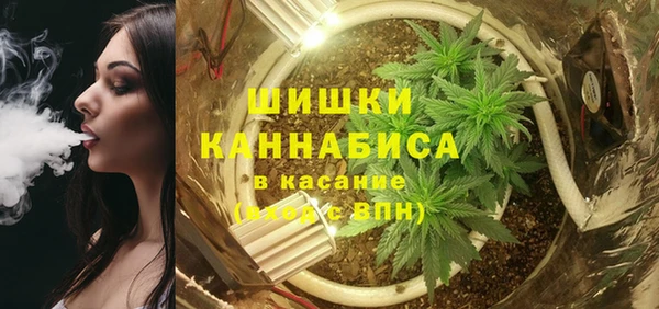PSILOCYBIN Абдулино