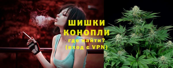 PSILOCYBIN Абдулино