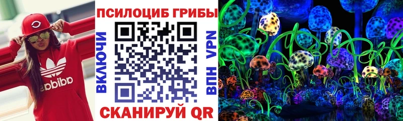 где можно купить наркотик Кораблино Галлюциногенные грибы Cubensis